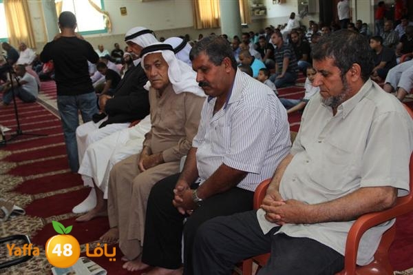 mayef abo ganem 0524 (33).JPG